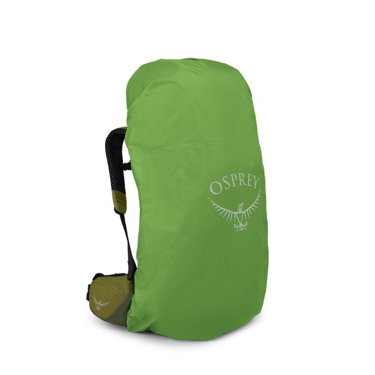 Osprey Atmos AG LT 50 Backpack S/M - Scenic Valley/Green Peppercorn