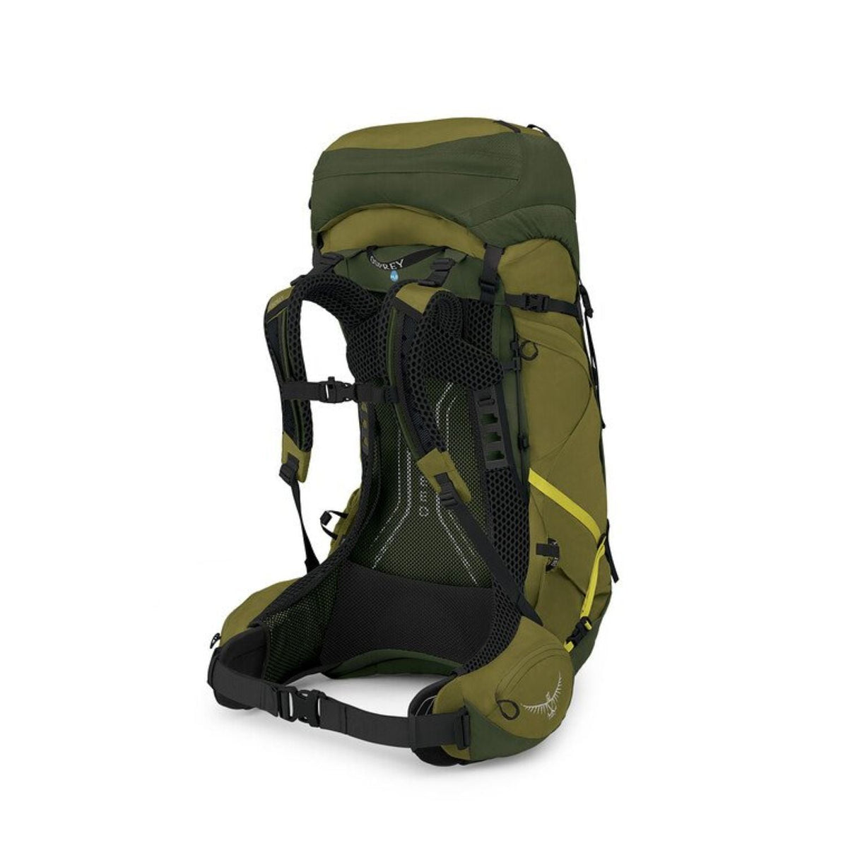 Osprey Atmos AG LT 50 Backpack S/M - Scenic Valley/Green Peppercorn