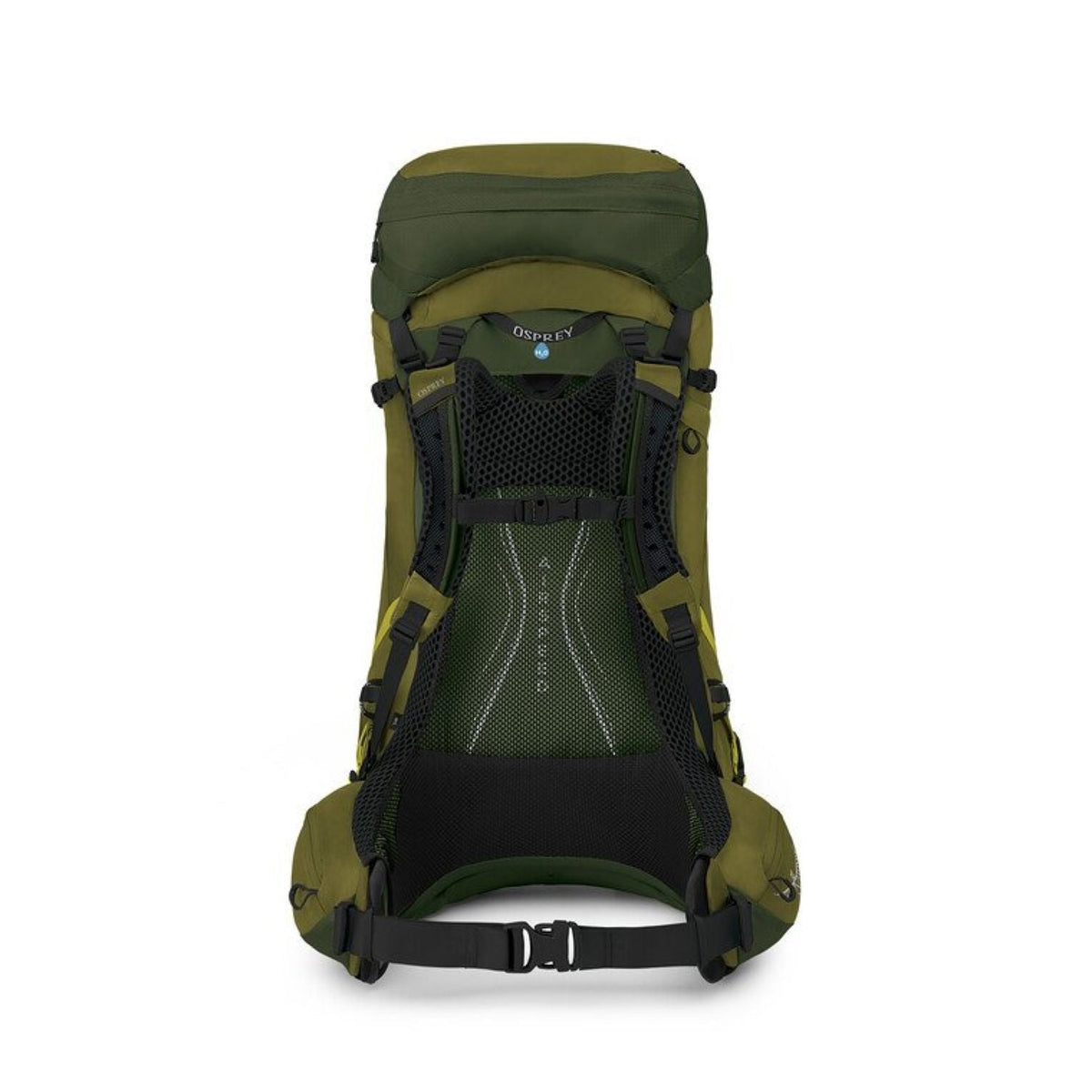 Osprey Atmos AG LT 50 Backpack S/M - Scenic Valley/Green Peppercorn