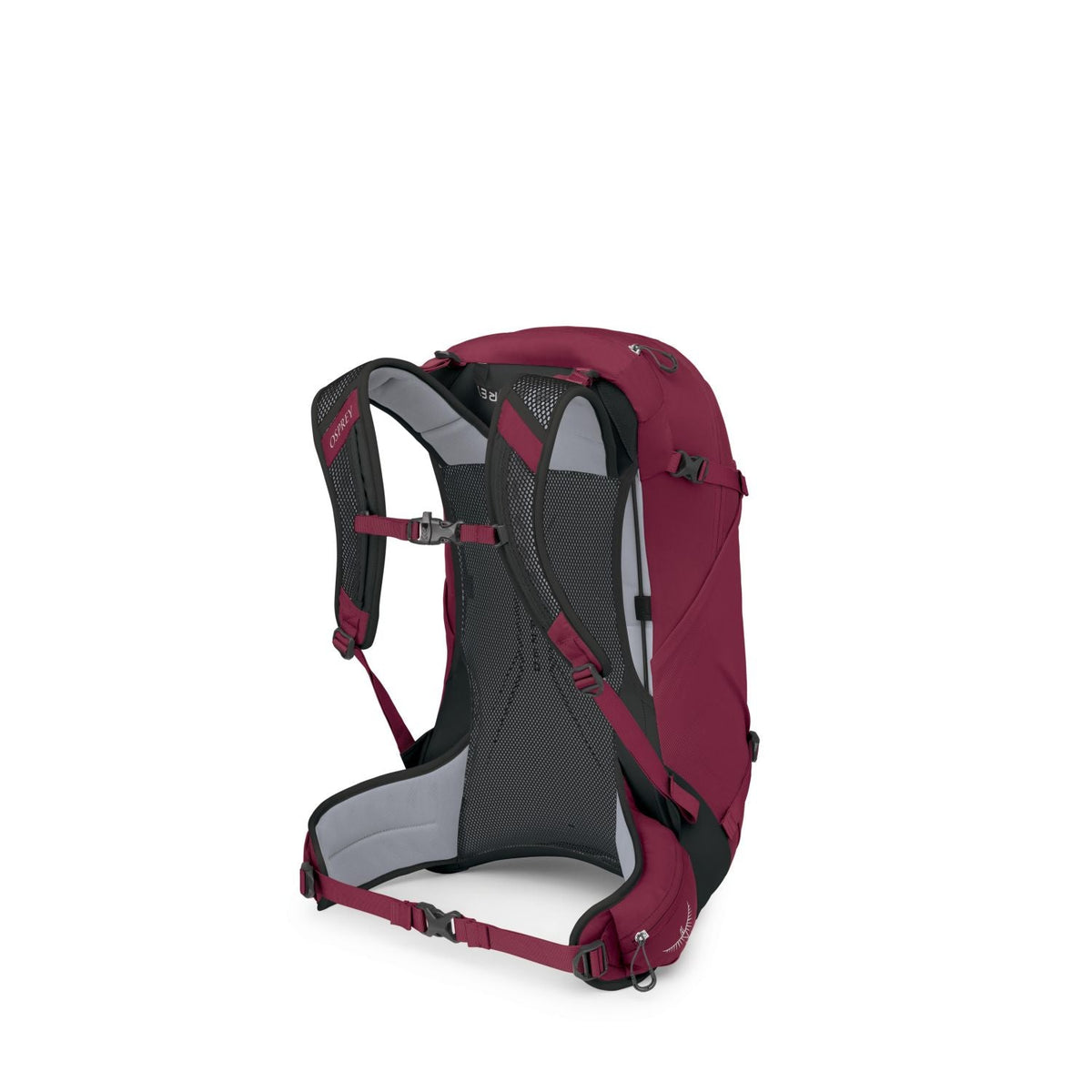 Osprey Hikelite 28 Backpack M/L - Chameleon/Black