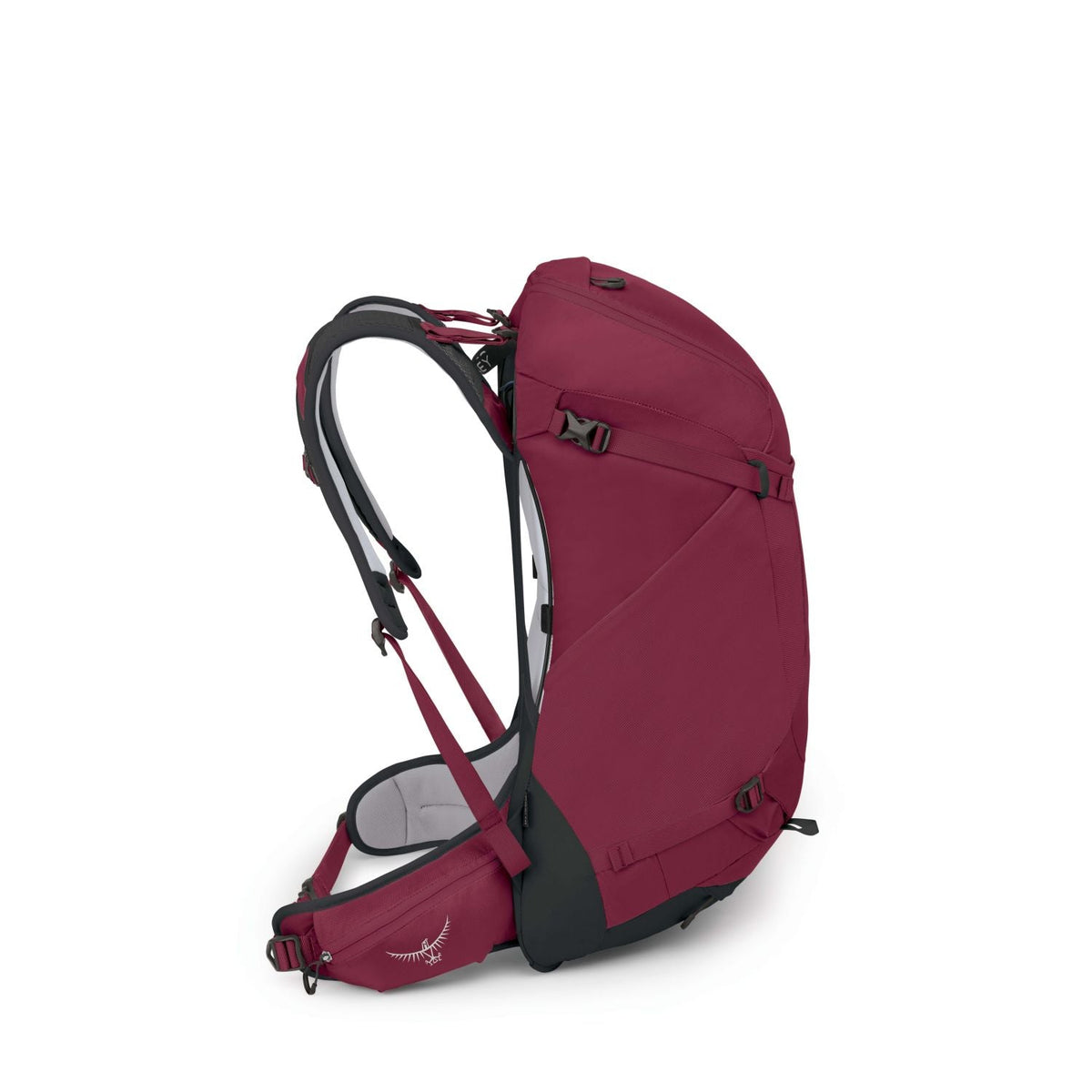 Osprey Hikelite 32 Backpack S/M - Chameleon/Black