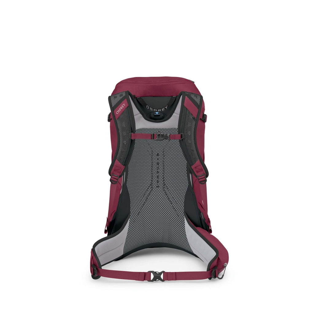 Osprey Hikelite 32 Backpack S/M - Chameleon/Black