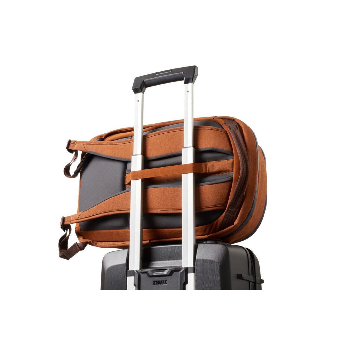 Bellroy Transit Workpack - Second Edition - Bronze
