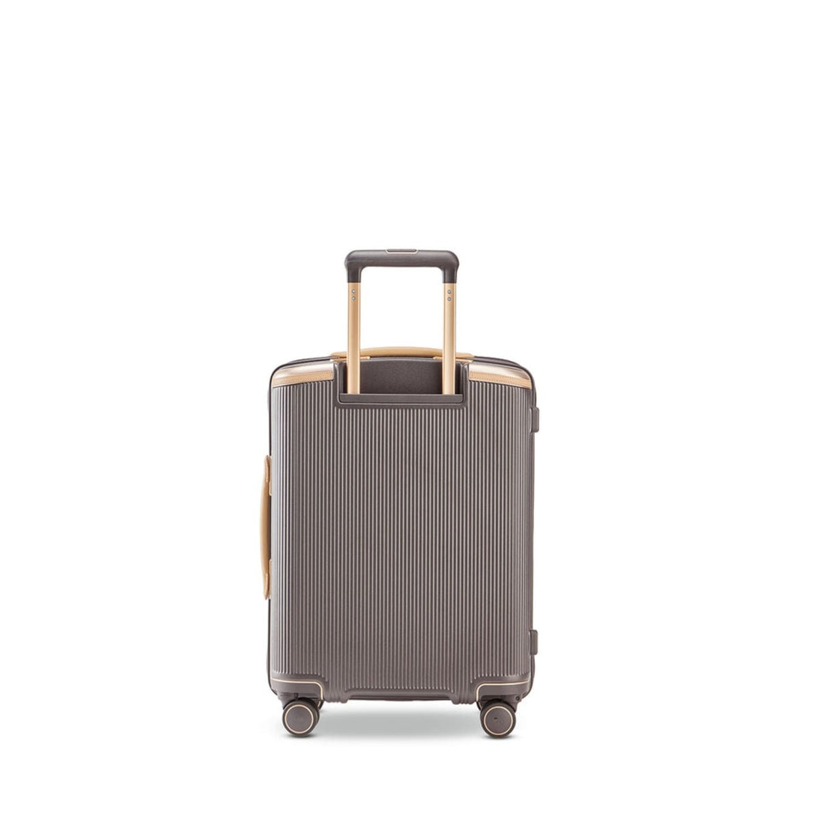 Echolac Dynasty VLX 24" - Dark Chocolate