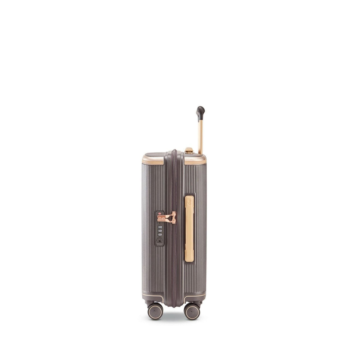 Echolac Dynasty VLX 28" - Dark Chocolate