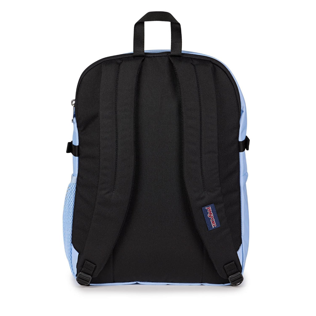 Jansport Main Campus - Hydrangea