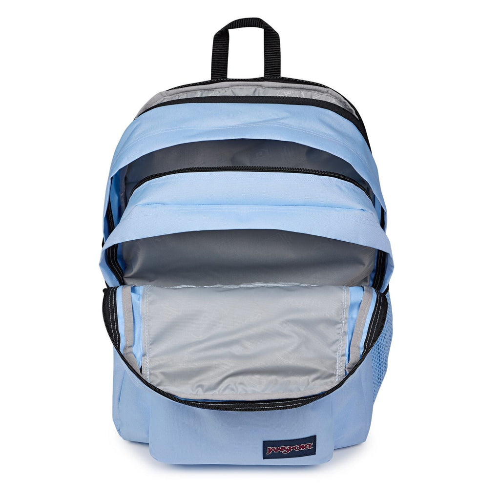 Jansport Main Campus - Hydrangea