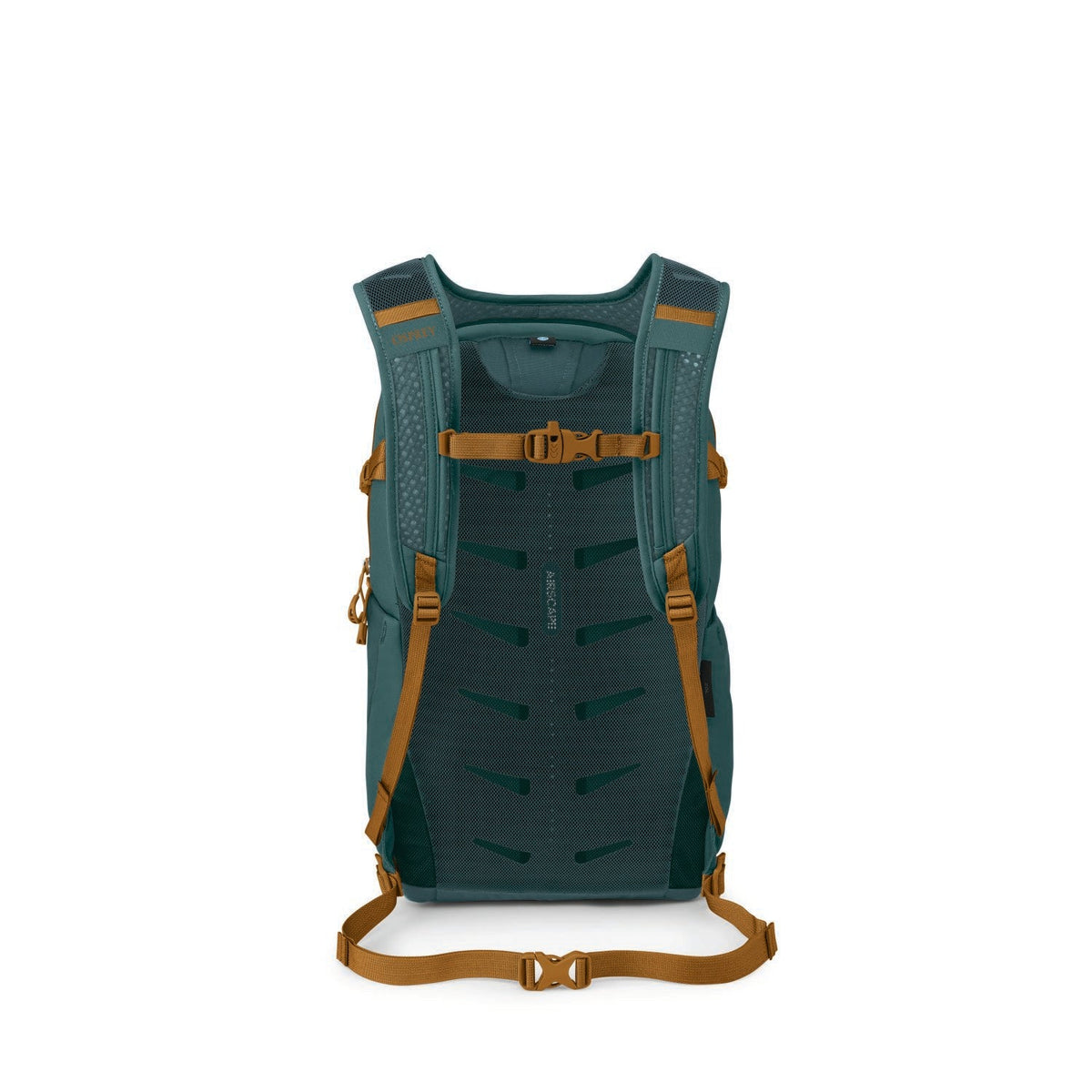 Osprey Daylite Plus 20L Backpack O/S - Torrent Blue
